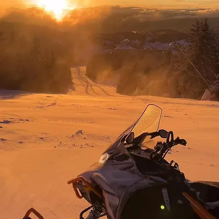 Queen Of Kop Milmari *