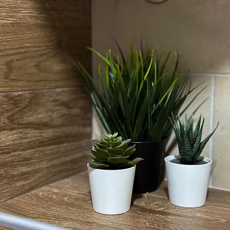 Queen Of Kop Milmari *