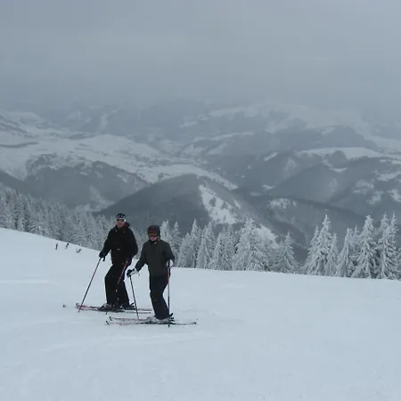 Queen Of Kop Milmari Appartement Kopaonik
