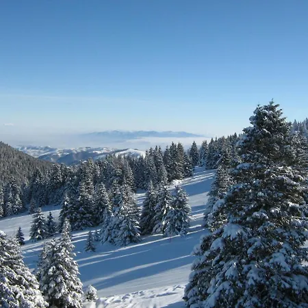 Queen Of Kop Milmari 아파트