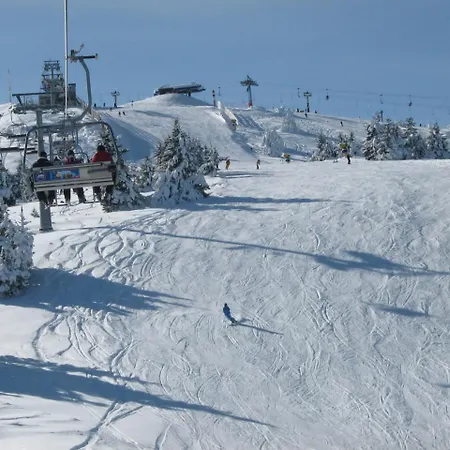 Queen Of Kop Milmari * Kopaonik