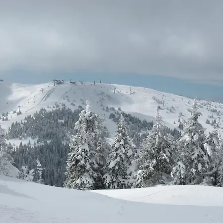 Queen Of Kop Milmari 아파트